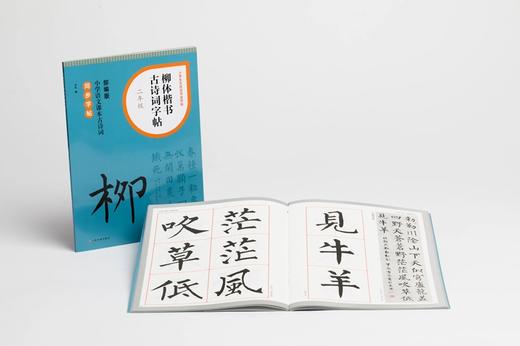 小学生古诗词书法字帖《柳体楷书古诗词字帖》（一、二、三、四、五、六年级） 商品图2