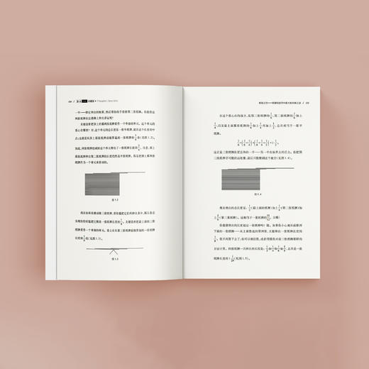 《素数之恋：黎曼和数学中最大的未解之谜》（哲人石丛书：珍藏版） 商品图4