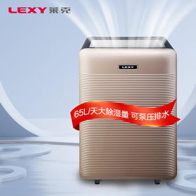 莱克（LEXY） 除湿机抽湿器别墅家用卧室办公室干衣地下室抽湿机除湿吸湿 除湿量65升/天 65L/天  DH650