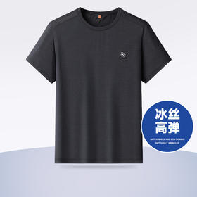 【一口价】【冰丝高弹】【新款DWP】大依优型大码短袖T恤圆领加肥加大男士大号弹力透气舒适夏季半袖