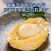 20头500g黄金鲍鱼肉【-4B】 商品缩略图0