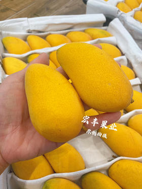 宏丰精选  小台芒，味道浓郁，皮薄肉厚，活动价5.8一斤