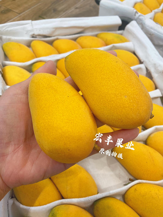宏丰精选  小台芒，味道浓郁，皮薄肉厚，活动价5.8一斤 商品图0