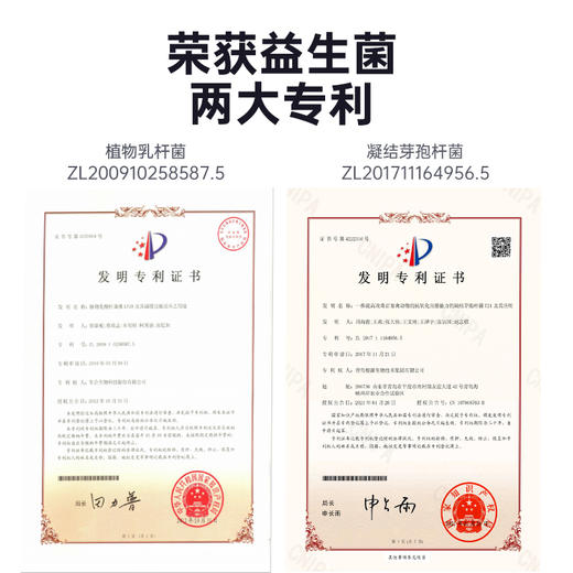 【第二件“半价”】Ramical雷米高猫草化毛片排毛球猫咪吐毛营养云杉小麦草车前子90g 商品图4