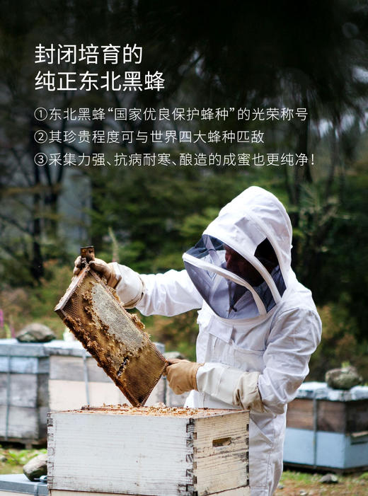 包邮到家！长白山椴树雪蜜，东北黑蜂自然保护区，百年野生紫椴，纯东北黑蜂采蜜，口感细腻醇厚绵甜无任何添加剂，❌拒绝添加白糖、色素、抗生素！用蜂蜜做代糖更健康！独立包装，一次一勺方便搅拌 商品图4