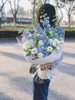 清雅绝尘----绣球韩式花束十选一 商品缩略图11