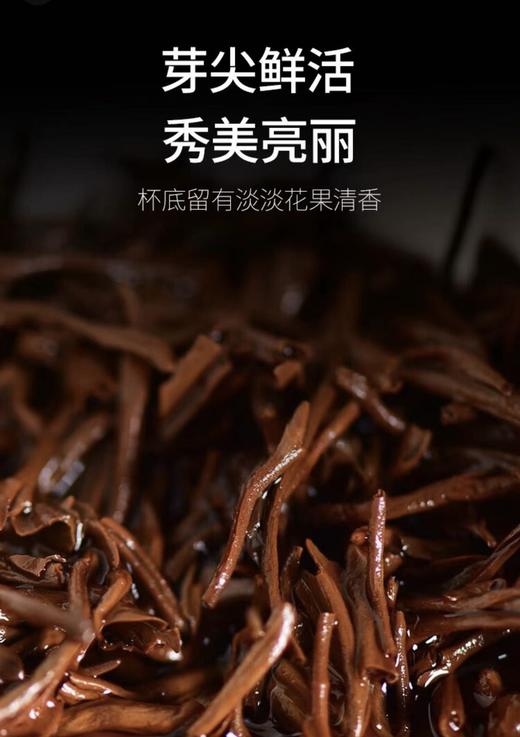 【超市】天福茗茶骏眉红茶50g（本店独享） 商品图3