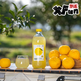 【炫饭搭子】宋柚汁复合果汁饮料1kg/瓶*6