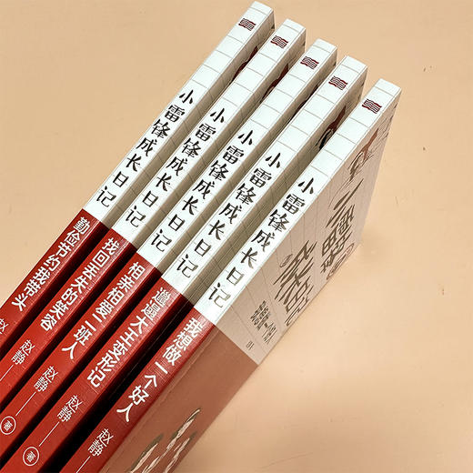 小雷锋成长日记，全5册套装 商品图2