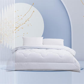 水星家纺  DH清朗七孔抗菌被