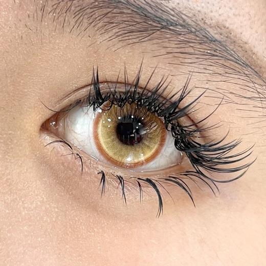 Yukicon2片/盒装日抛-YC053金色鲤鱼 商品图6