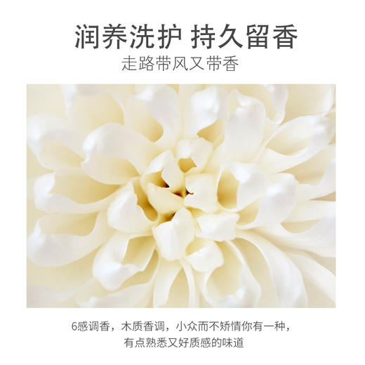 浅香日本香榧氨基酸洗发水500g 商品图3