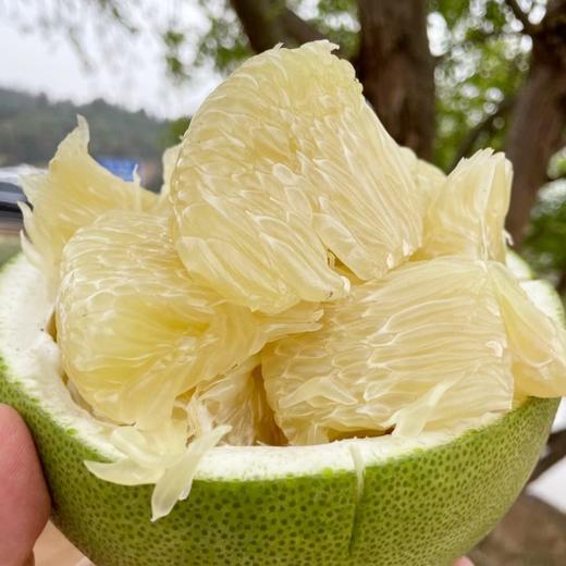 泰国进口青柚 商品图7