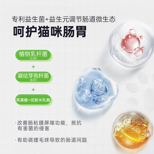 【第二件“半价”】Ramical雷米高猫草化毛片排毛球猫咪吐毛营养云杉小麦草车前子90g 商品图3