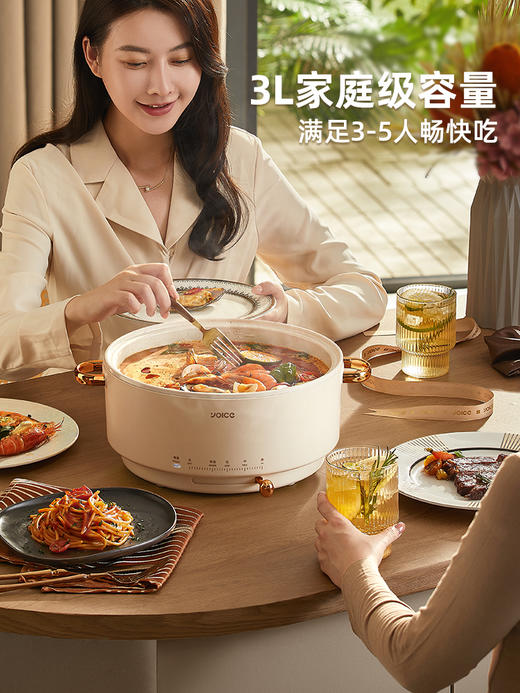 优益电火锅Y-DHG16
 商品图1