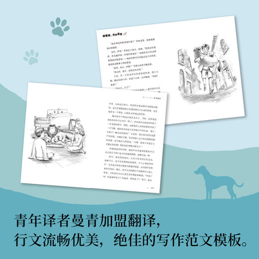 灵犬莱西(【英】埃里克·奈特；小博集出品) 商品图1