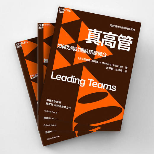 真高管 组织进化大师、哈佛大学社会和组织心理学教授 理查德·哈克曼经典力作 商品图1