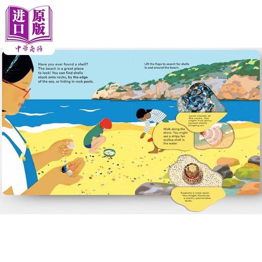 【中商原版】贝壳背后的秘密 Shells... and what they hide inside 英文原版 儿童纸板绘本 少儿科普知识纸板书翻翻书 2-5岁 商品图3