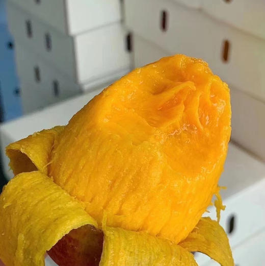 空运树熟贵妃芒（毛重5斤左右） 商品图1