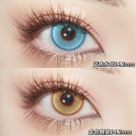 Yukicon2片/盒装日抛-YC053金色鲤鱼 商品图1