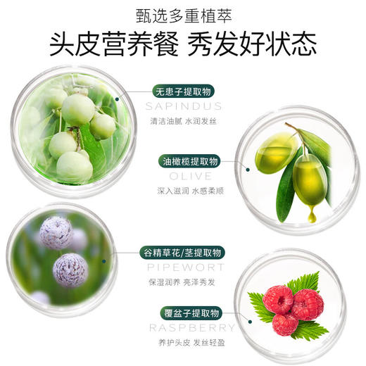 滋源无患子保湿滋养洗头水(中干性)535ml 商品图2