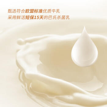 中街1946香草冰酪轻享装50g*10支 棒支雪糕儿童冰淇淋 香草口味 商品图8