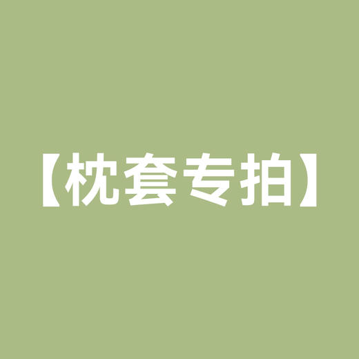 枕套专拍 商品图0