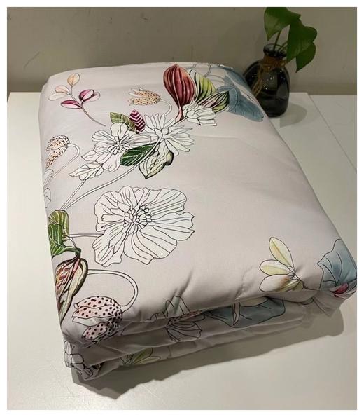 高品质夏被❗️依芙德伦夏被  尺寸200cm*230cm 商品图1