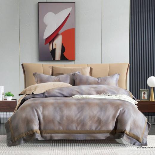 鑫缘 艾能棉印花四件套 DMH9418 商品图2