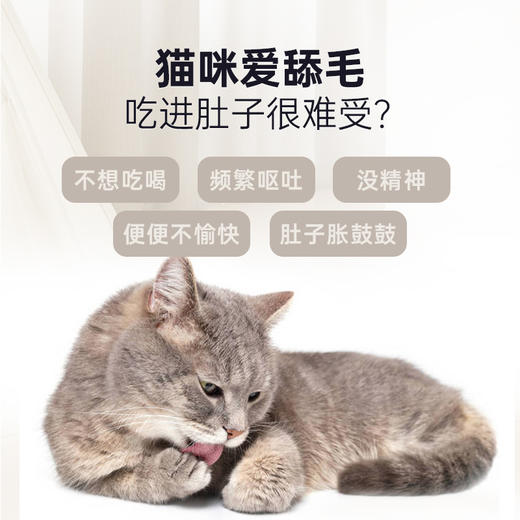 【第二件“半价”】Ramical雷米高猫草化毛片排毛球猫咪吐毛营养云杉小麦草车前子90g 商品图1