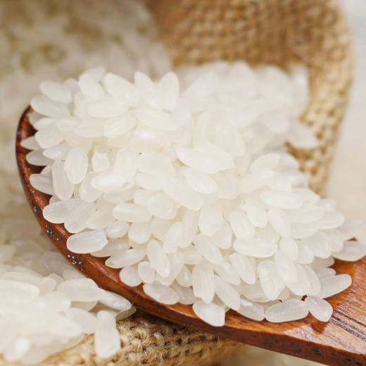 禾园常 长粒香大米2.5kg  东北大米当季新米 商品图3