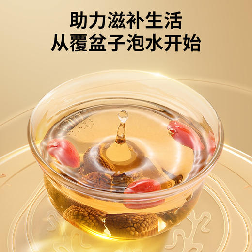 【正宗同仁堂品牌】北京同仁堂 青源堂 覆盆子200克 SY 商品图4