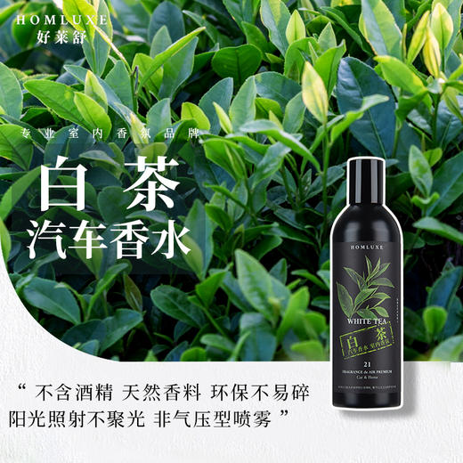 好莱舒汽车香水 无酒精安全除臭车载香水室内香氛车用白茶香味100ml 商品图0
