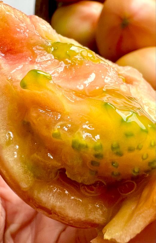 一口回到小时候 吮指洋柿子 西红柿 生吃太够味儿 顺丰包邮|百里食 商品图6