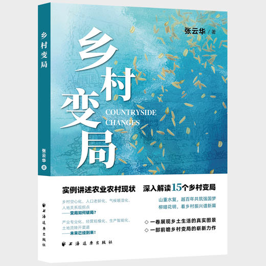 乡村变局 商品图0