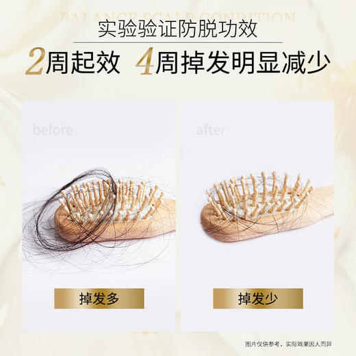 滋源生姜强根健发洗头水(中干性)535ml 商品图8