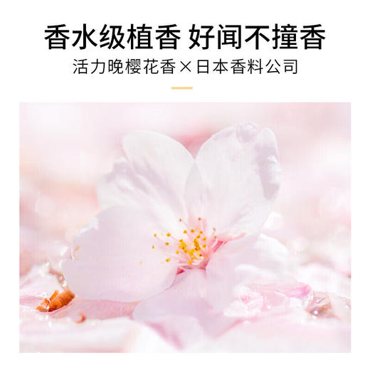 浅香  洗发水  扁柏氨基酸洗发水60g（中样） 商品图2