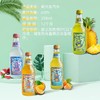 华洋1982老广州风味汽水258ml/瓶（整箱20瓶）【FY】 商品缩略图3