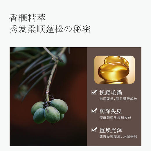 浅香日本香榧氨基酸洗发水500g 商品图1