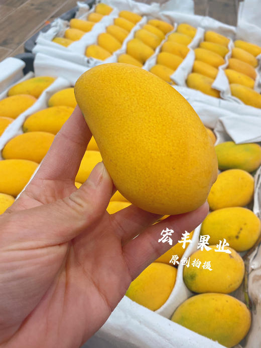 宏丰精选  小台芒，味道浓郁，皮薄肉厚，活动价5.8一斤 商品图3