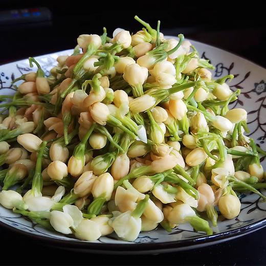 鲜食茉莉花 商品图3
