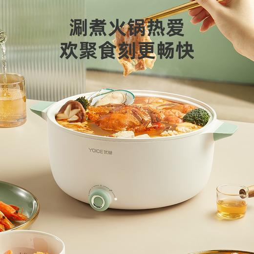 优益电火锅/蒸锅Y-DHG10
 商品图1