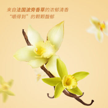 中街1946香草冰酪轻享装50g*10支 棒支雪糕儿童冰淇淋 香草口味 商品图1