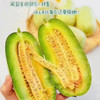 🍃小情瓜蜜瓜，绿蒂‮肉脆‬‎，‮皮青‬‎黄‮囊‬‎，一口下去满口蜜汁💦‮甜脆‬‎爽口，舌尖流‮～蜜‬‎ 现在的水果，真的太‮了会‬‎！高级嘴闭眼入！ 商品缩略图10