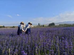 伊犁为什么值得去？