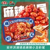 顺丰/京东 发货【拍一发九】“舌尖上的美味”  洪湖诱惑安井麻辣/蒜蓉小龙虾252g/盒*9盒   安井洪湖诱惑麻辣虾尾 商品缩略图2