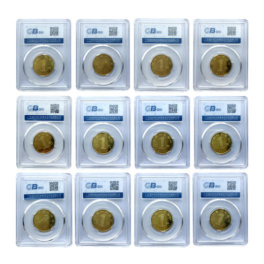 2003-2014年第一轮十二生肖纪念币 1元面值流通贺岁硬币 封装评级版 商品图2