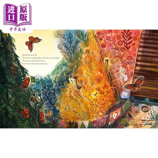 【中商原版】一线希望 Devon Holzwarth Flicker Of Hope 英文原版 儿童绘本故事图画书 亲子读物 精装精品绘本 进口童书4-8岁 商品图3