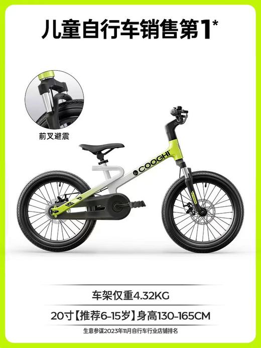 迅猛龙自行车F1
（20寸） 商品图2