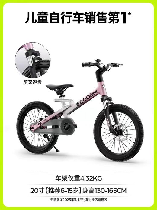 迅猛龙自行车F1
（20寸） 商品图1